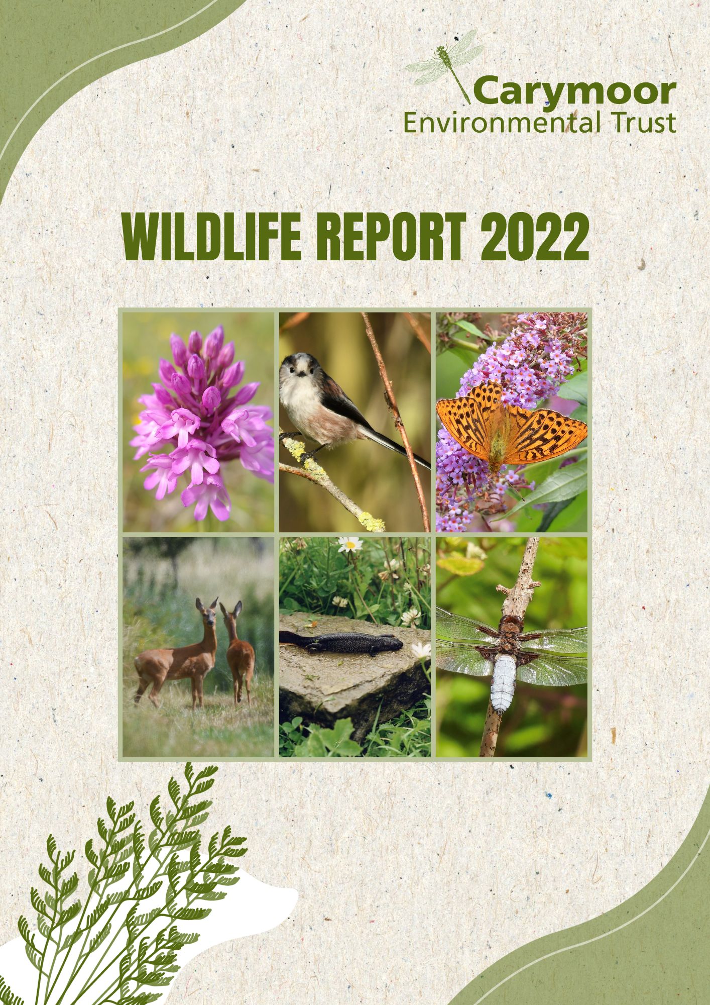 Wildlife Report 2022