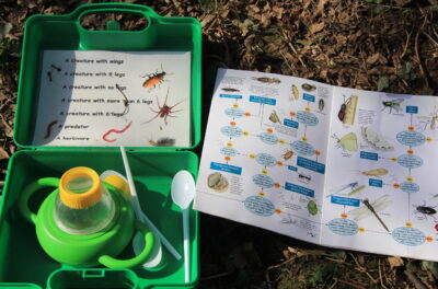 Minibeasts Mayhem