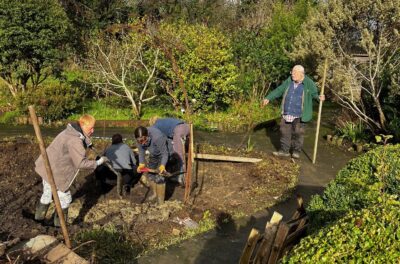 Volunteers clearing out the pond