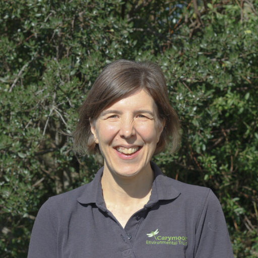 Beth Coleman headshot