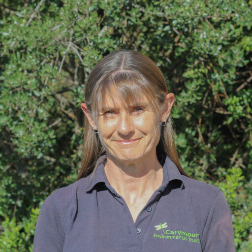 Chrissie Stacey headshot