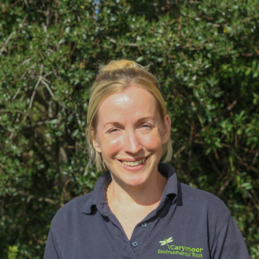 Karen Boswell headshot