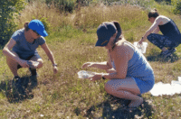 Group collecting seeds on nature reserve