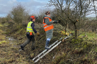 Hedgelaying Course