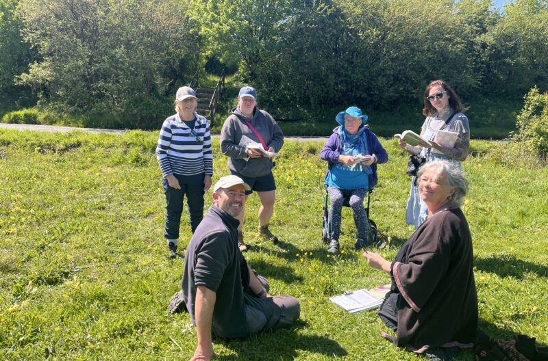 Identifying British Wildflowers